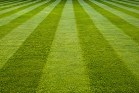 Bader Gartenunterhalt: Rasenpflege