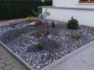Steingarten mit Bepflanzung